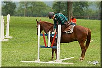 4H-1st-Show-11_1708.jpg