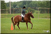 4H-1st-Show-11_1726.jpg