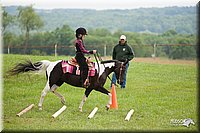 4H-1st-Show-11_1782.jpg