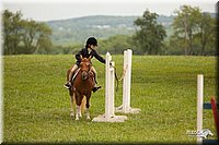 4H-1st-Show-11_1804.jpg