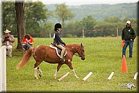 4H-1st-Show-11_1806.jpg