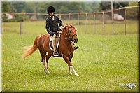 4H-1st-Show-11_1811.jpg