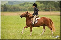 4H-1st-Show-11_1814.jpg