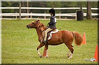 4H-1st-Show-11_1815.jpg