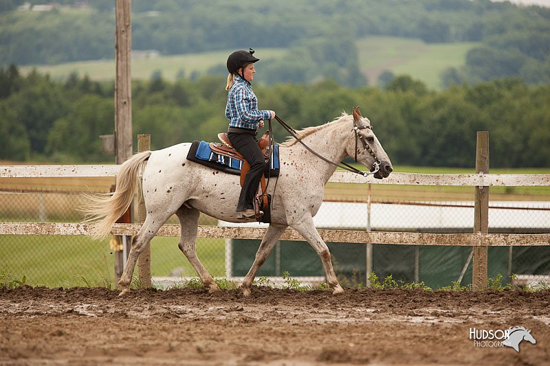 4H-1st-Show-11_1838.jpg