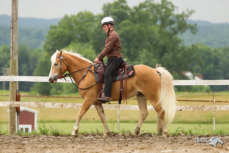 4H-1st-Show-11_1054.jpg