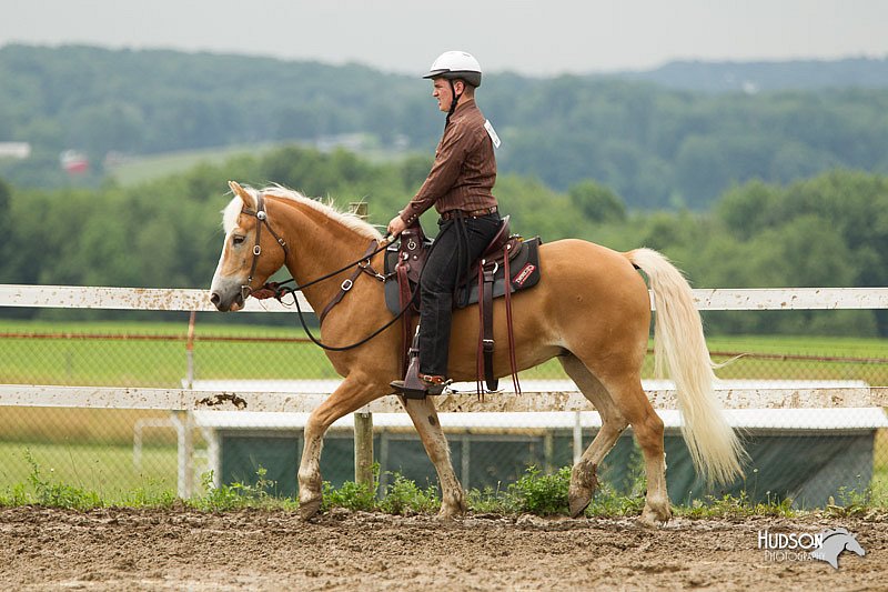 4H-1st-Show-11_1055.jpg