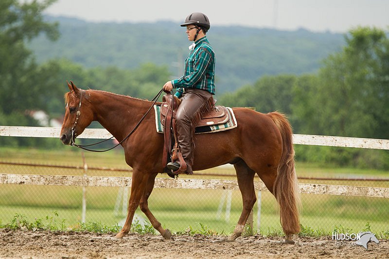 4H-1st-Show-11_1063.jpg