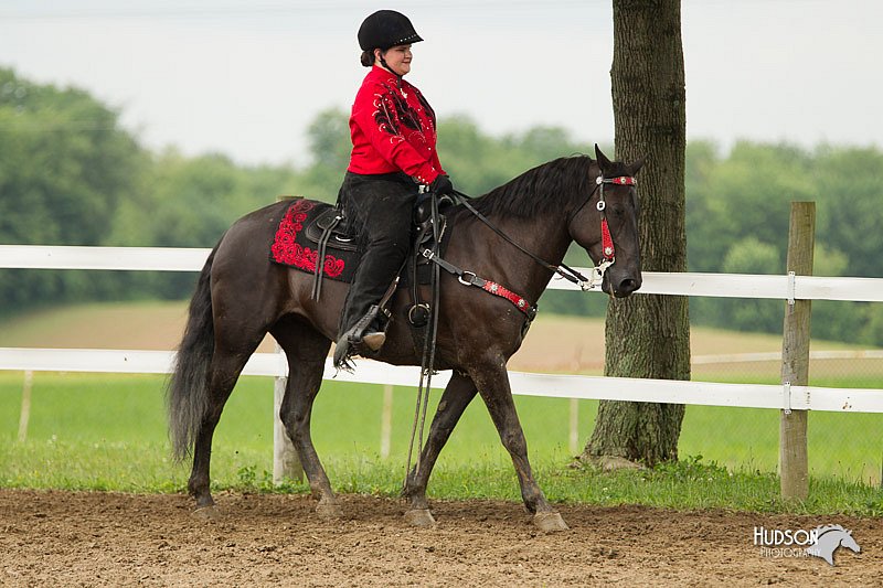 4H-1st-Show-11_1076.jpg