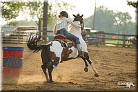 4H-2nd-Show-11_0078.jpg