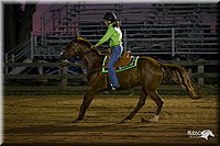 4H-2nd-Show-11_0693.jpg
