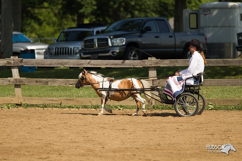 4H-2nd-Show-11_1081.jpg