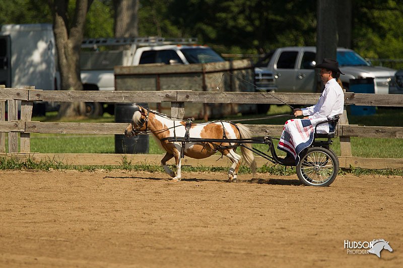 4H-2nd-Show-11_1082.jpg