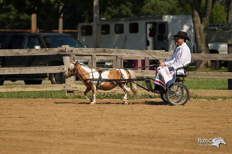 4H-2nd-Show-11_1083.jpg