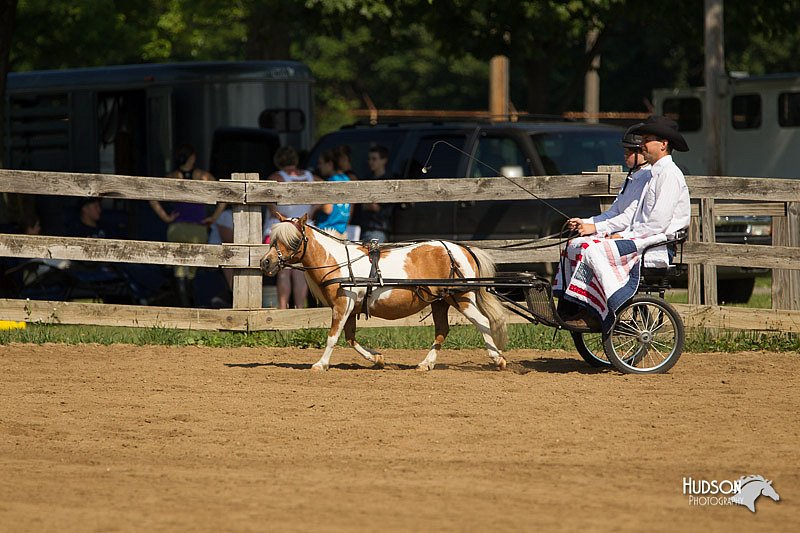 4H-2nd-Show-11_1084.jpg