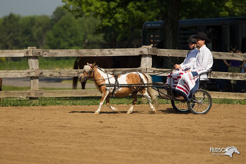 4H-2nd-Show-11_1085.jpg