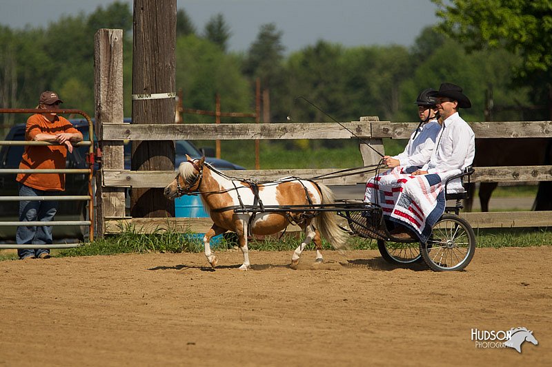 4H-2nd-Show-11_1086.jpg
