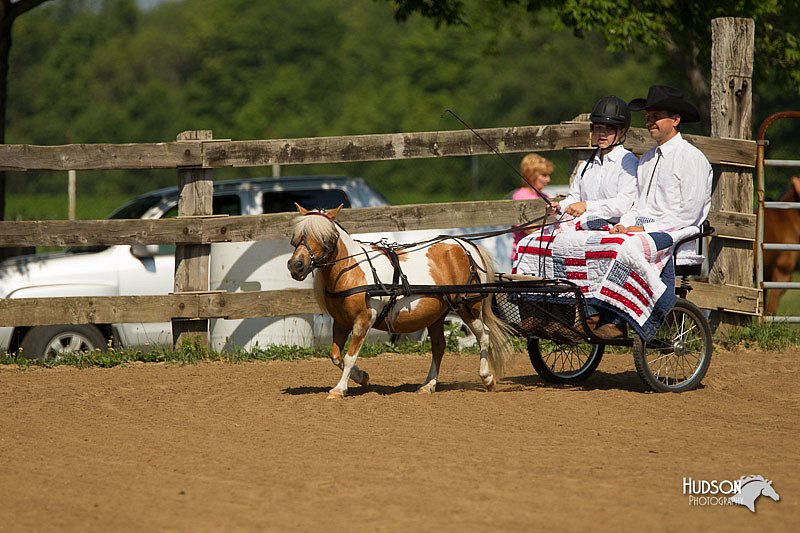 4H-2nd-Show-11_1089.jpg
