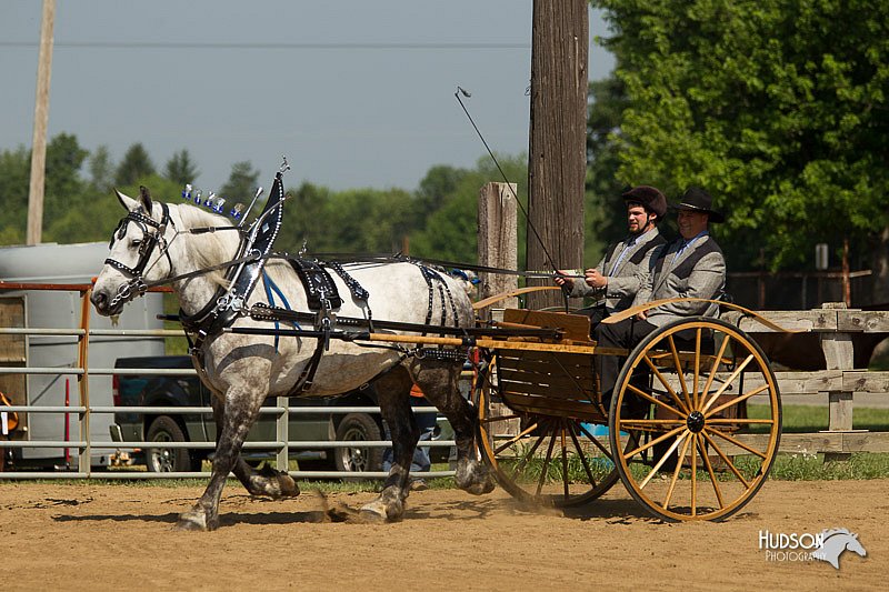4H-2nd-Show-11_1123.jpg