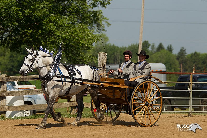 4H-2nd-Show-11_1124.jpg
