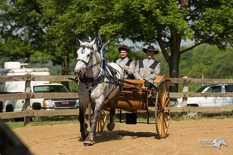 4H-2nd-Show-11_1125.jpg