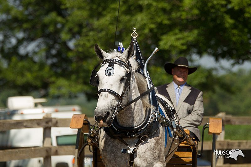 4H-2nd-Show-11_1126.jpg