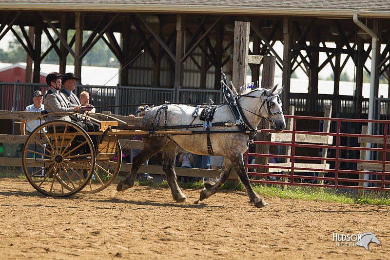 4H-2nd-Show-11_1130.jpg