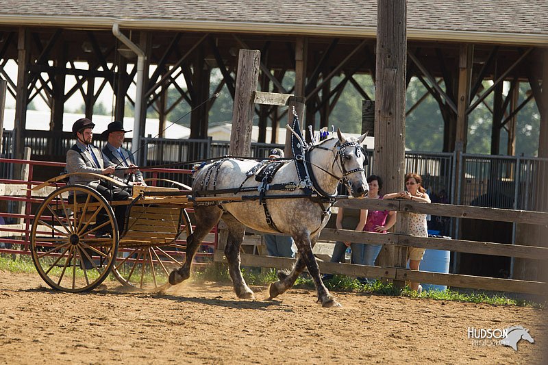 4H-2nd-Show-11_1131.jpg