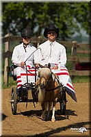 4H-2nd-Show-11_1077.jpg