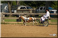 4H-2nd-Show-11_1082.jpg