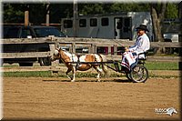 4H-2nd-Show-11_1083.jpg