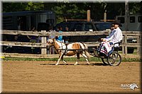 4H-2nd-Show-11_1084.jpg