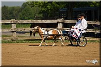 4H-2nd-Show-11_1085.jpg