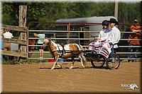 4H-2nd-Show-11_1088.jpg