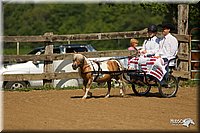 4H-2nd-Show-11_1089.jpg