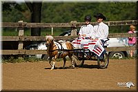 4H-2nd-Show-11_1090.jpg