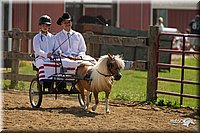 4H-2nd-Show-11_1109.jpg