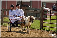 4H-2nd-Show-11_1110.jpg