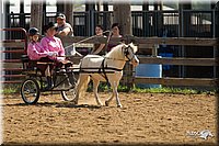 4H-2nd-Show-11_1111.jpg
