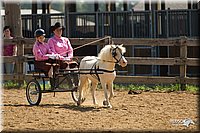 4H-2nd-Show-11_1112.jpg