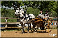 4H-2nd-Show-11_1117.jpg