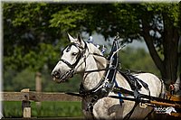 4H-2nd-Show-11_1118.jpg