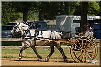 4H-2nd-Show-11_1119.jpg