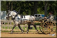 4H-2nd-Show-11_1120.jpg
