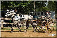4H-2nd-Show-11_1121.jpg