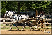 4H-2nd-Show-11_1122.jpg