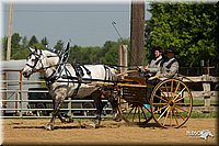4H-2nd-Show-11_1123.jpg