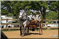 4H-2nd-Show-11_1125.jpg