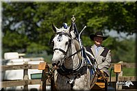 4H-2nd-Show-11_1126.jpg
