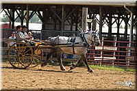 4H-2nd-Show-11_1130.jpg